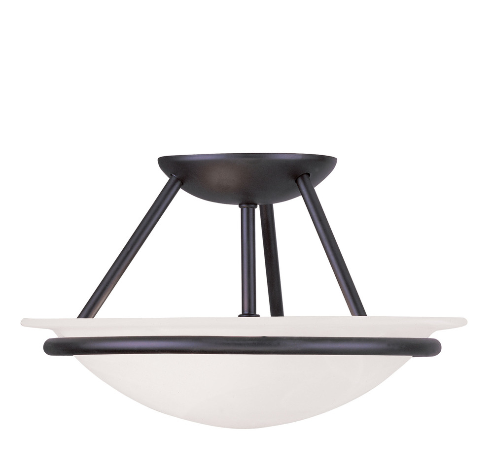 2 Light Black Ceiling Mount