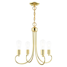 Livex Lighting 42924-02 - 4 Lt Polished Brass Chandelier