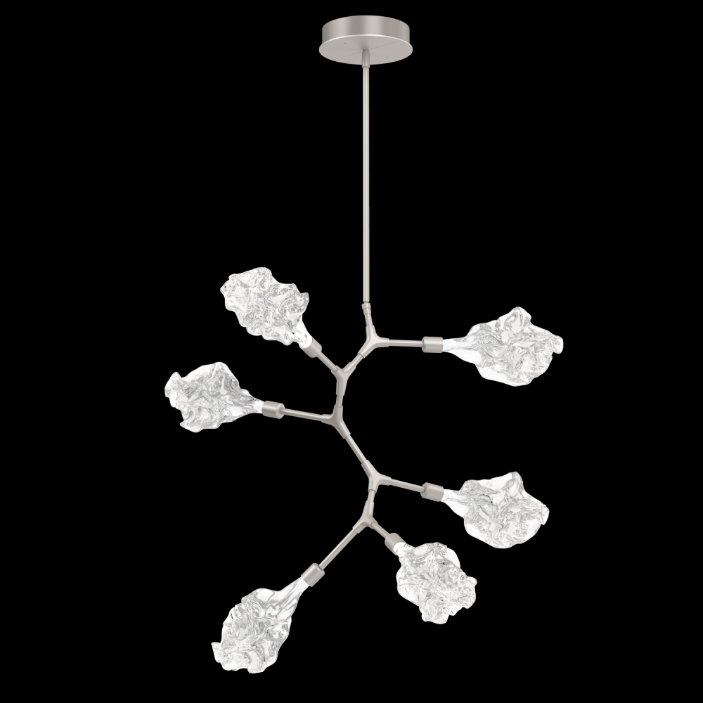 Blossom Modern Vine - 6pc