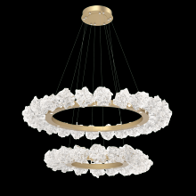 Hammerton CHB0059-2B-FB-BC-CA1-L1 - Blossom Two-Tier Ring