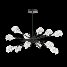 Hammerton PLB0059-0A-MB-BC-001-L3 - Blossom Oval Starburst - 0A