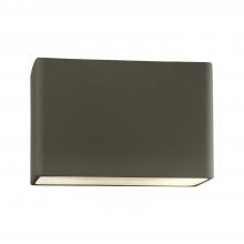  CER-5658W-PWGN - Really Big ADA Rectangle (Outdoor) Wall Sconce - Closed Top