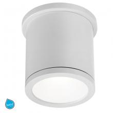 WAC US FM-W2605-WT - TUBE Outdoor Flush Mount Light