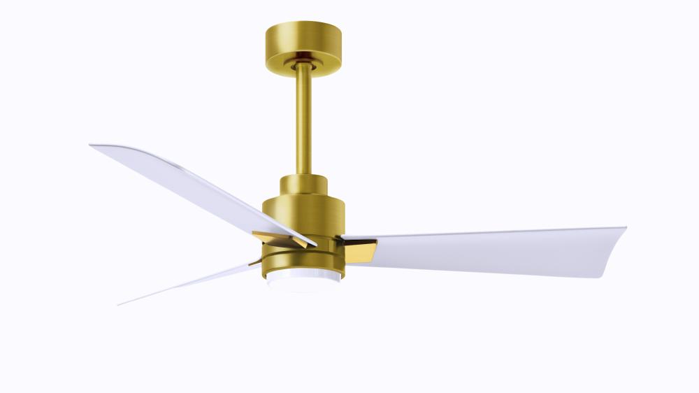 Alessandra 3-blade transitional ceiling fan in brushed brass finish with matte white blades. Optim