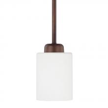 Capital 315211BZ-338 - 1 Light Pendant