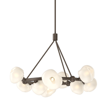 Hubbardton Forge 131069-SKT-MULT-05-FD0710 - Ume 9-Light Ring Pendant