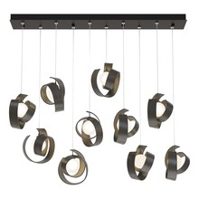 Hubbardton Forge 131208-SKT-STND-07-GG0711 - Riza 10-Light Pendant