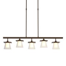 Hubbardton Forge 136605-SKT-SHRT-05-ZU0284 - Wren 5 Light Pendant