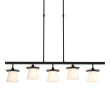 Hubbardton Forge 136605-SKT-SHRT-10-GG0242 - Wren 5 Light Pendant