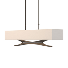 Hubbardton Forge 137655-SKT-LONG-14-SE4298 - Moreau Pendant