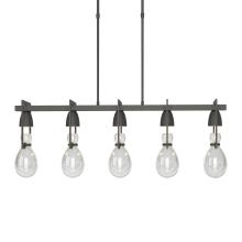 Hubbardton Forge 137810-SKT-SHRT-20-ZM0572 - Apothecary Pendant