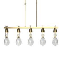 Hubbardton Forge 137810-SKT-SHRT-86-ZM0572 - Apothecary Pendant