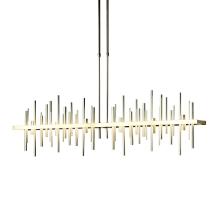 Hubbardton Forge 139726-LED-LONG-86-86 - Cityscape Large LED Pendant