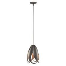 Hubbardton Forge 188770-SKT-MULT-14 - Pental Mini Pendant