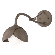 Hubbardton Forge 201377-SKT-05-05-GG0711 - Brooklyn 1-Light Double Shade Long-Arm Sconce