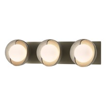 Hubbardton Forge 201378-SKT-84-82-GG0711 - Brooklyn 3-Light Straight Double Shade Bath Sconce