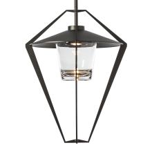 Hubbardton Forge 362651-SKT-MULT-14-ZM0727 - Stellar Large Outdoor Pendant/Semi-Flush