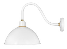 Hinkley 10645GW - Medium Gooseneck Barn Light