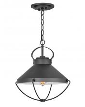 Hinkley 2692BK - Large Hanging Lantern