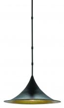 Currey 9000-0410 - Aberfoyle Black Pendant